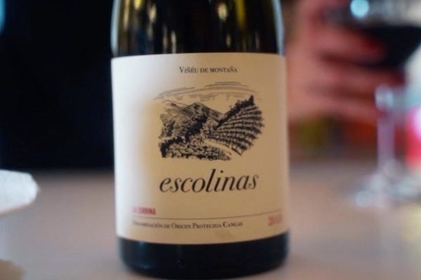 333590470_228170426260989_1495199340271897186_n